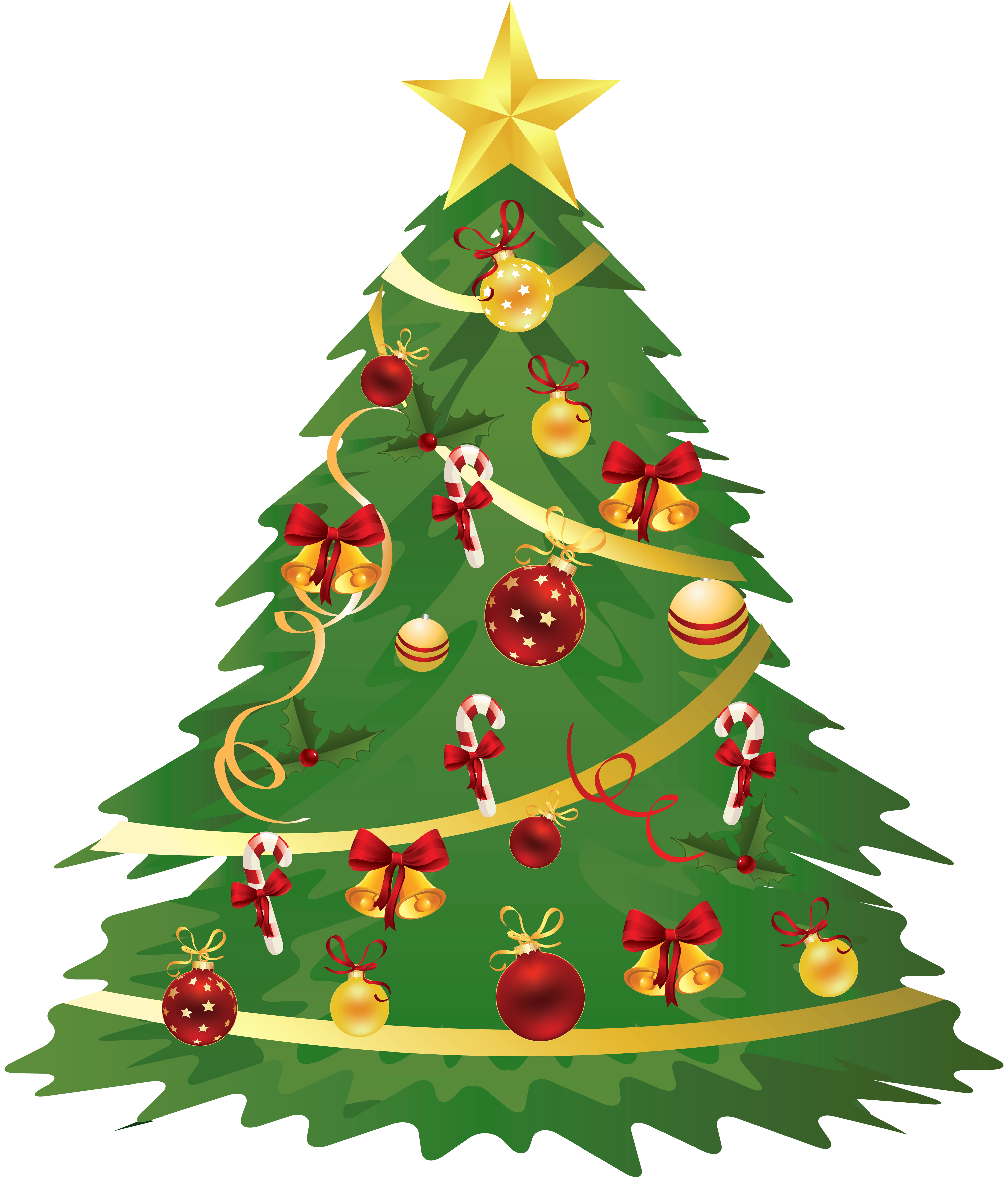 A cozy evergreen tree